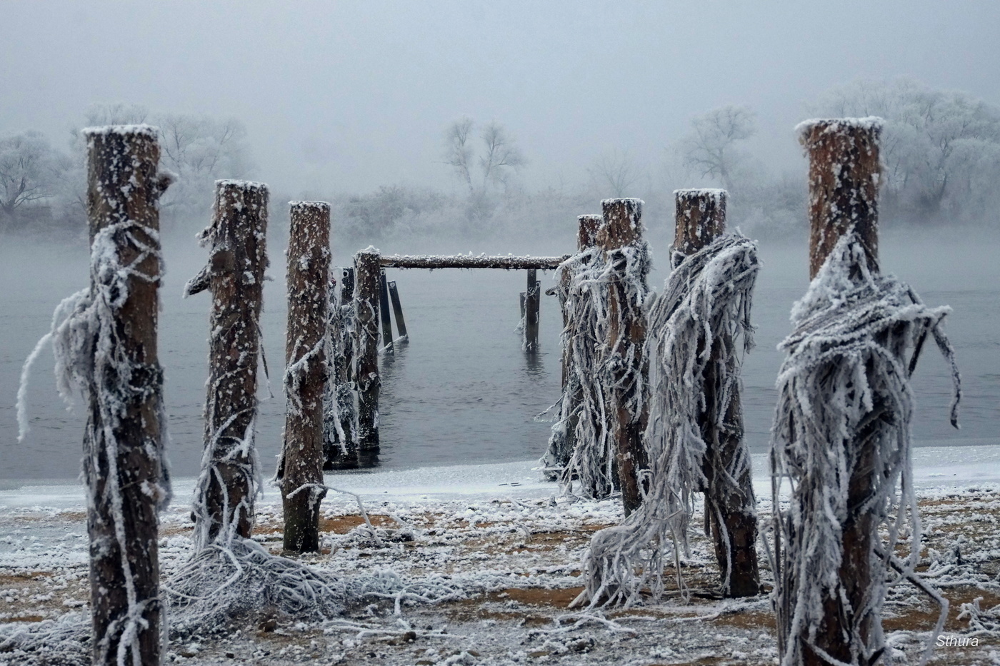 Вышли из воды...