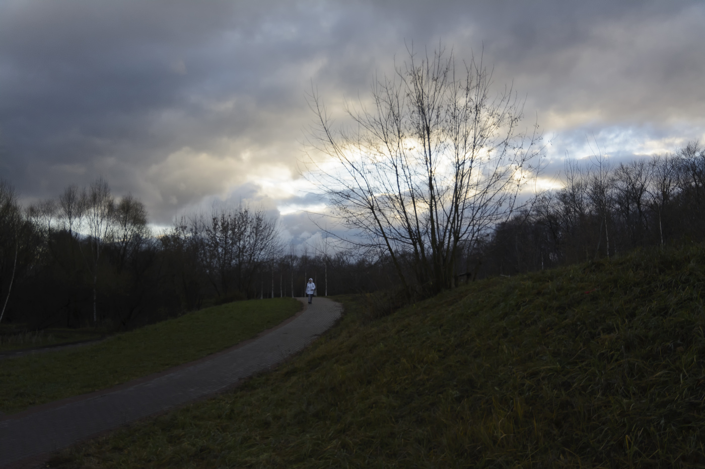 осенний день