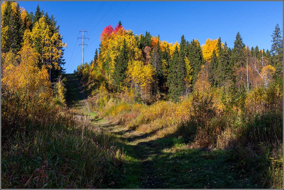 Золото осени.