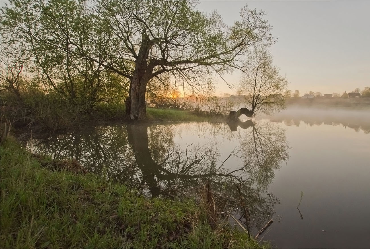 У зеркала весны
