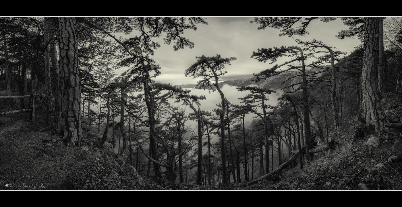 Вниз к облакам...