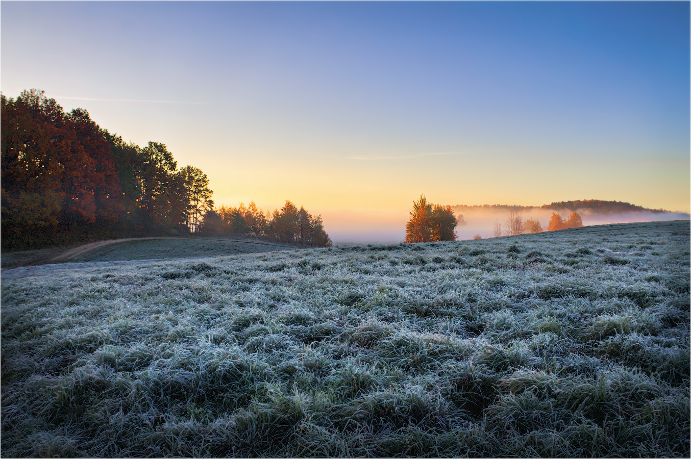 Иней на траве