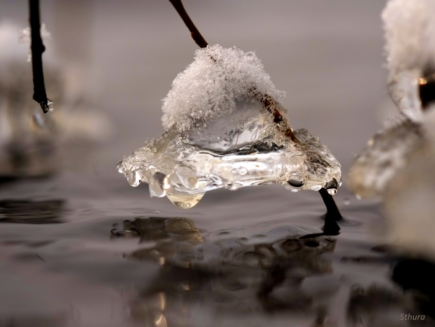 Ледяное искусство.