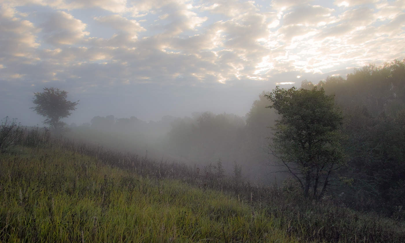 Туман-как предвестник хорошего дня