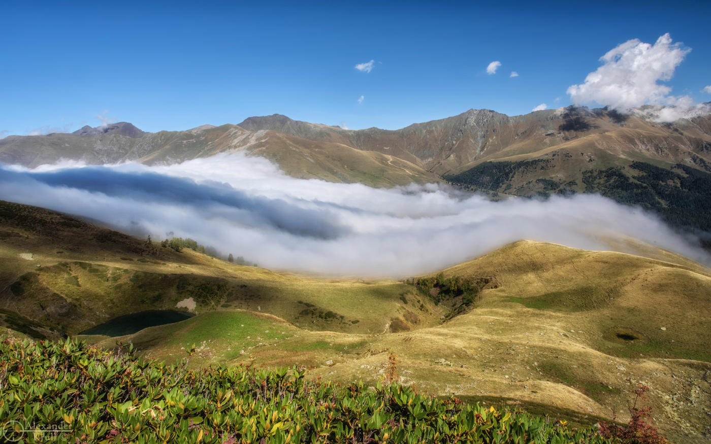 Средь бела дня...