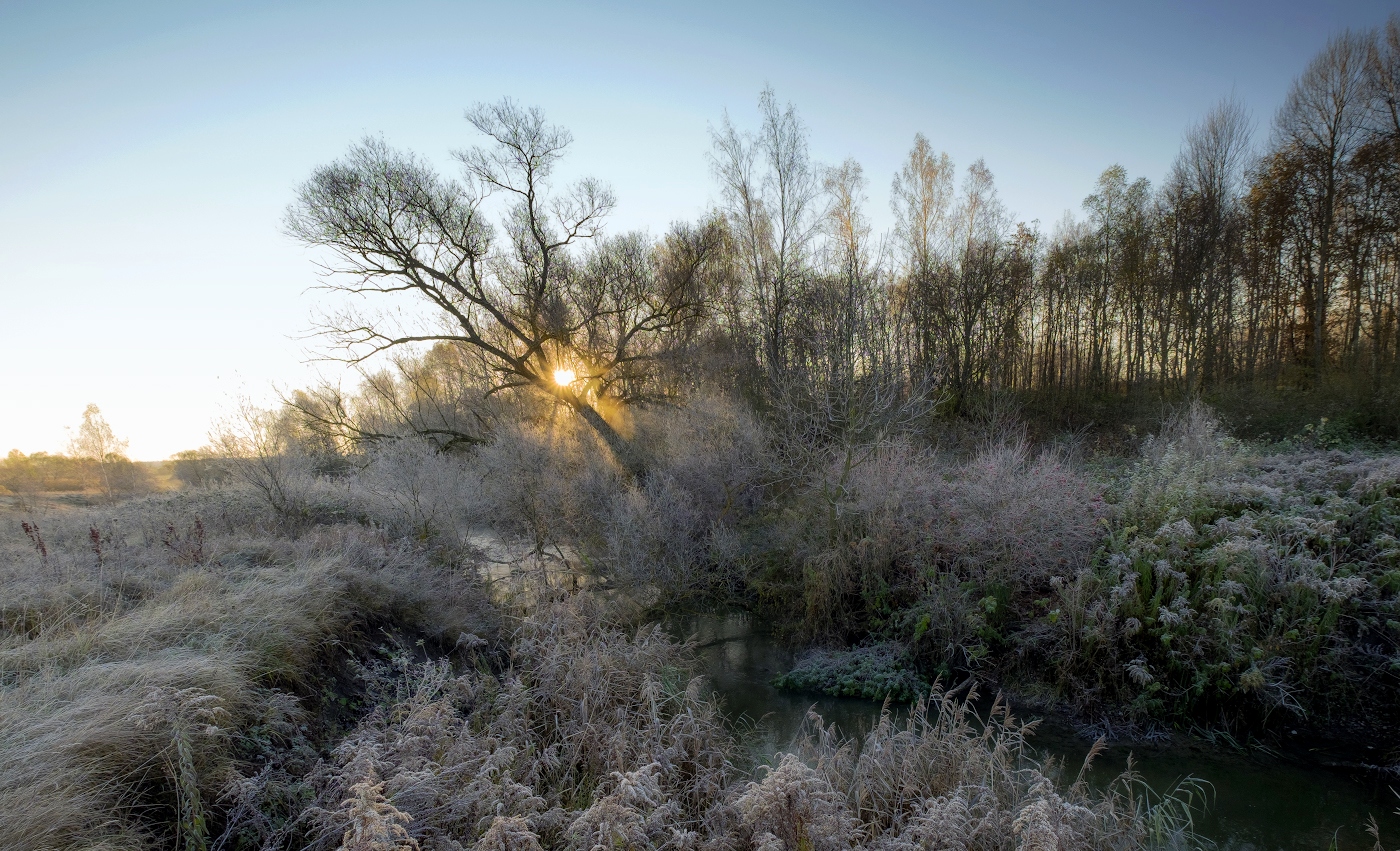 Лучик света в морозное утро