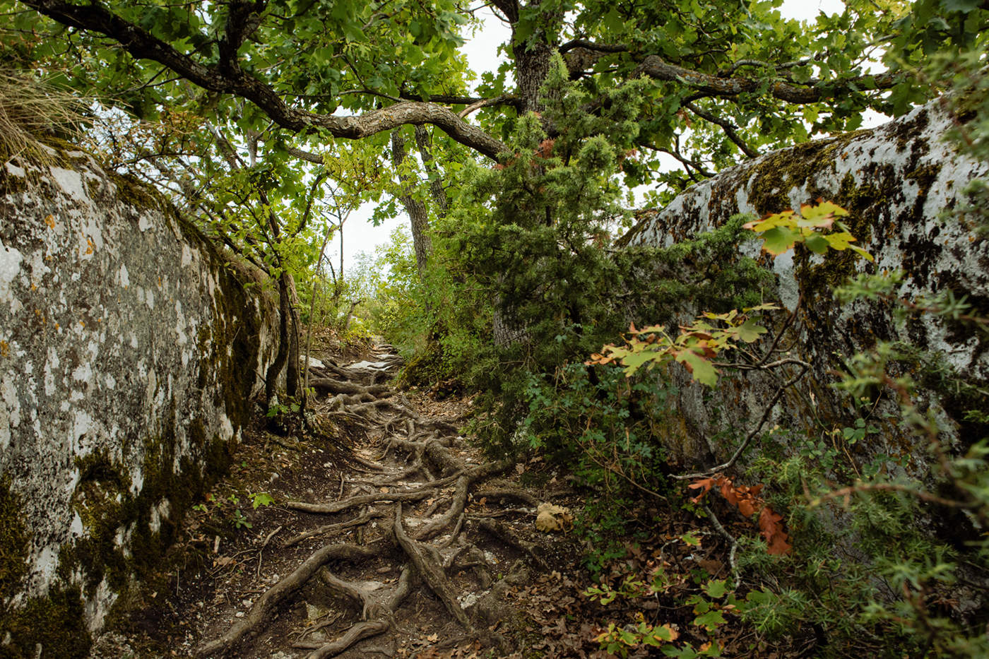 Заповедными тропами.