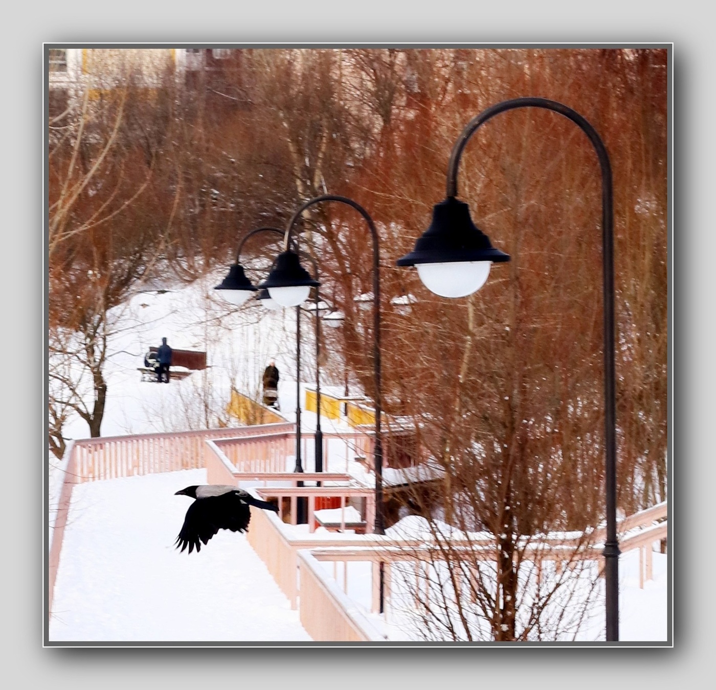 Первый снег