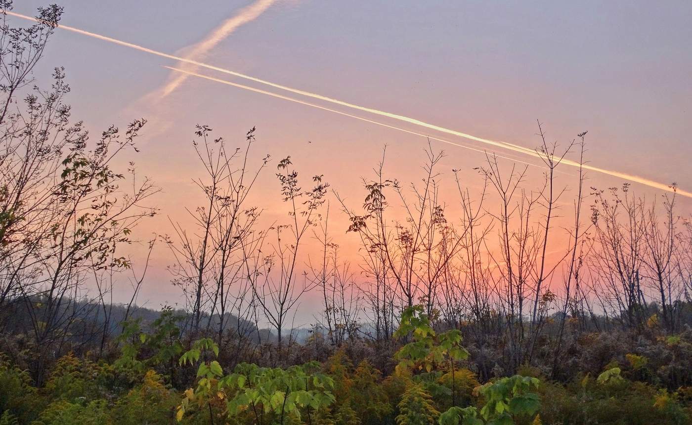 Краски осени