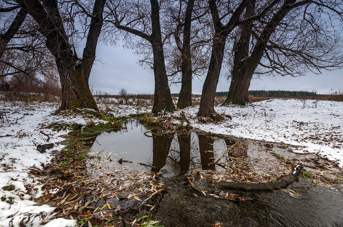 Первый снег...