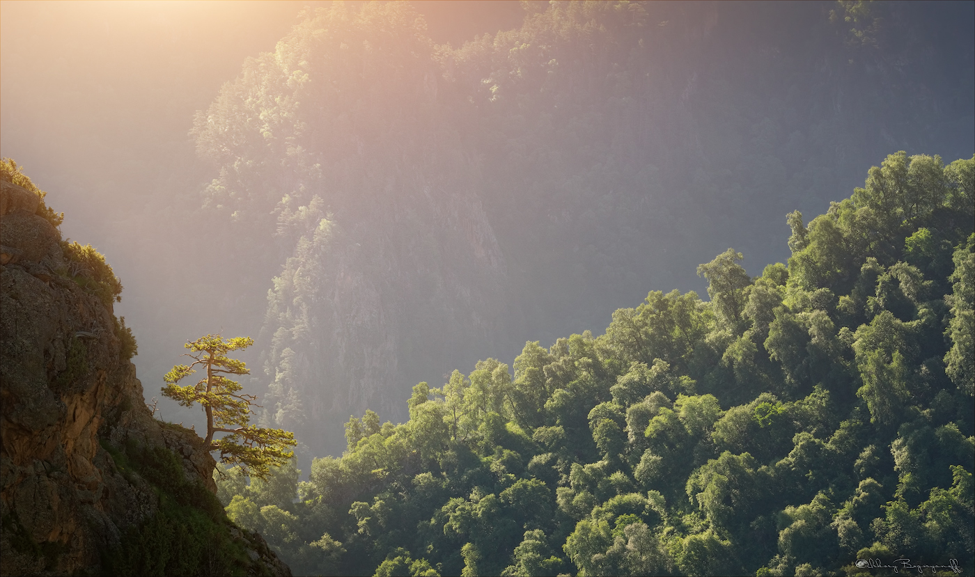 Наблюдатель...