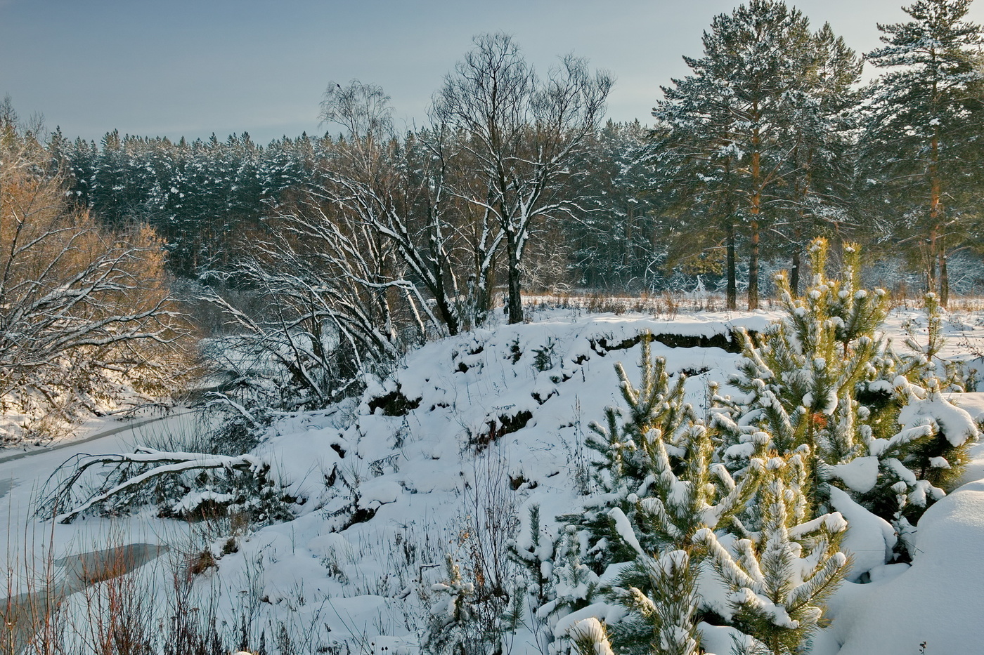 *Ноябрьским днем**