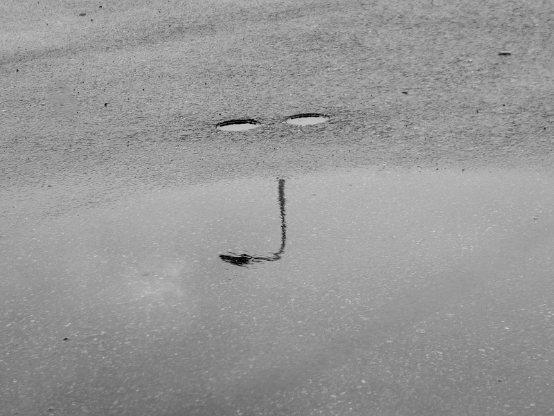 Я это отчетливо вижу