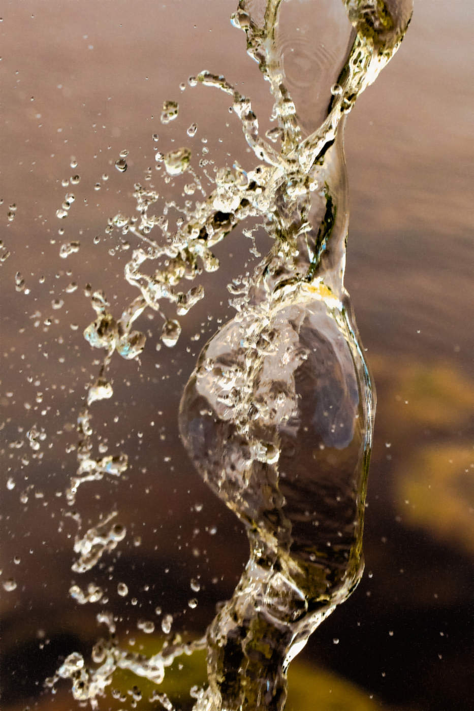 Я это отчетливо вижу