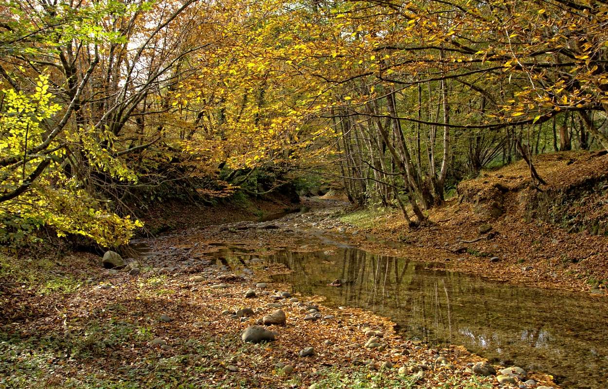 Абхазия. Осень.