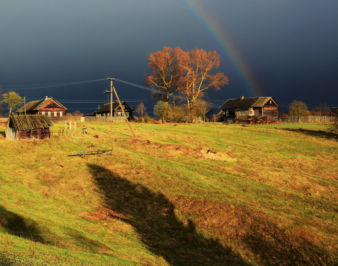 После грозы ...