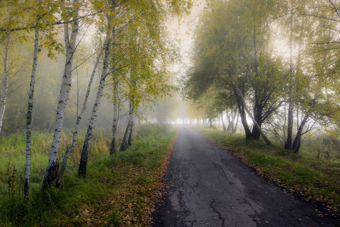 Туманные дали