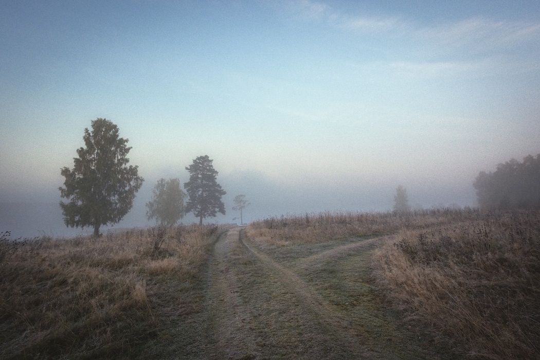Осенняя пелена.