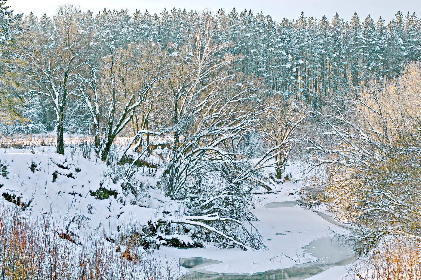 Морозное утро