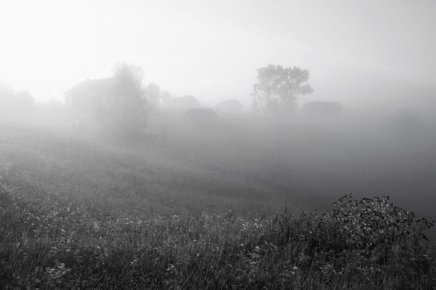 Туманное утро ...