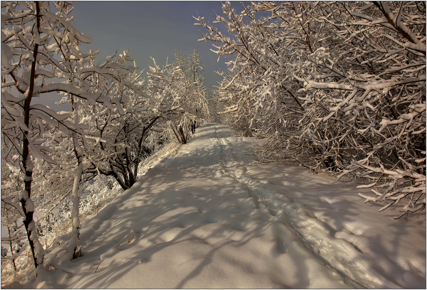 По заснеженной тропинке