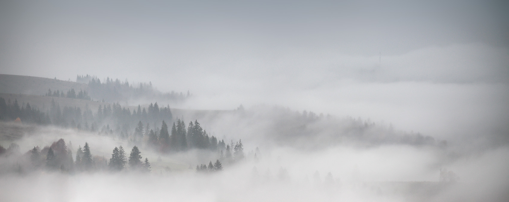 Про белые туманы