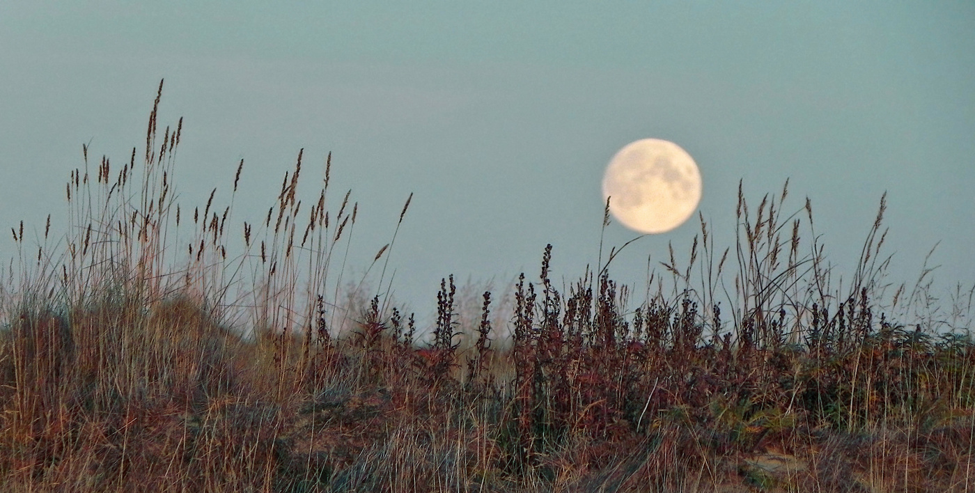 Сентябрьский вечер