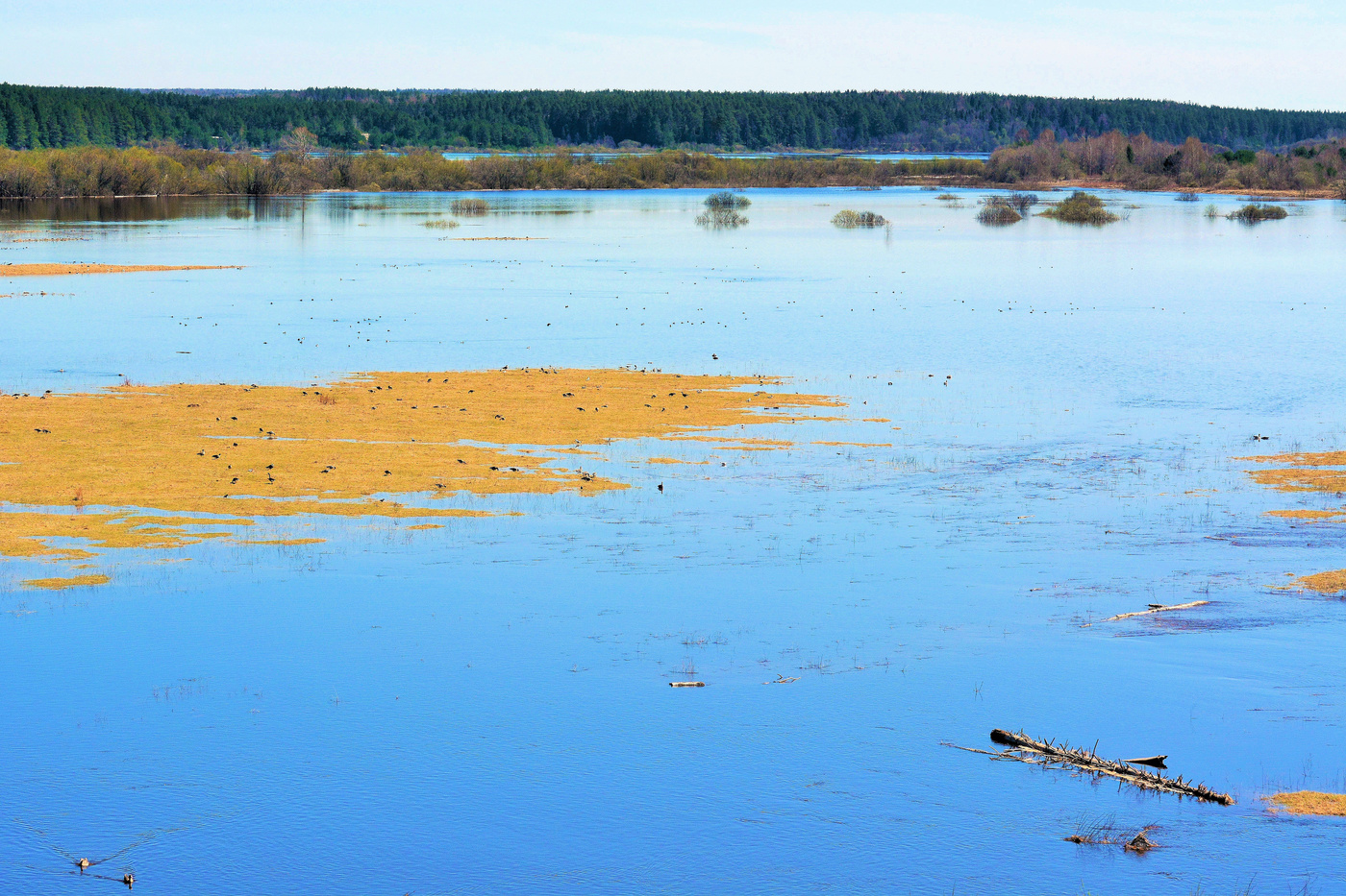 Половодье ...