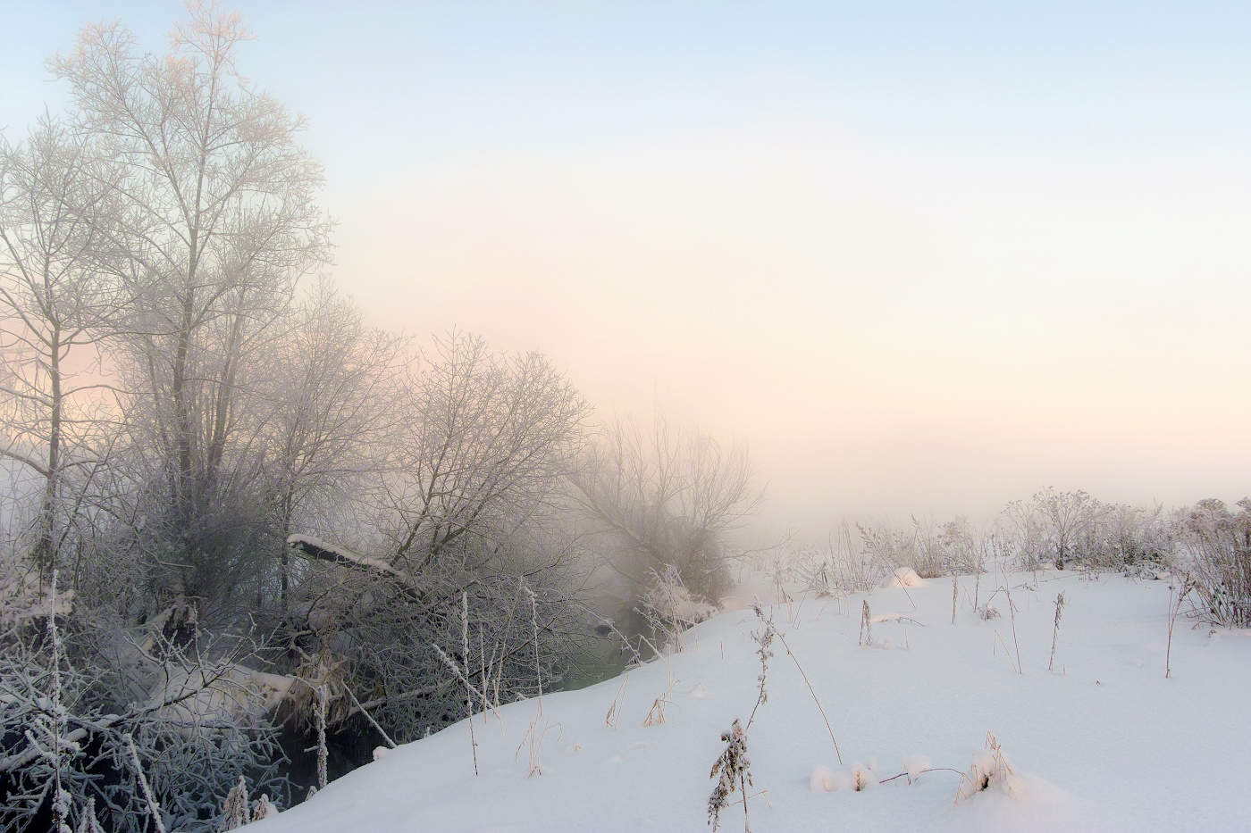 Нежные краски морозного утра