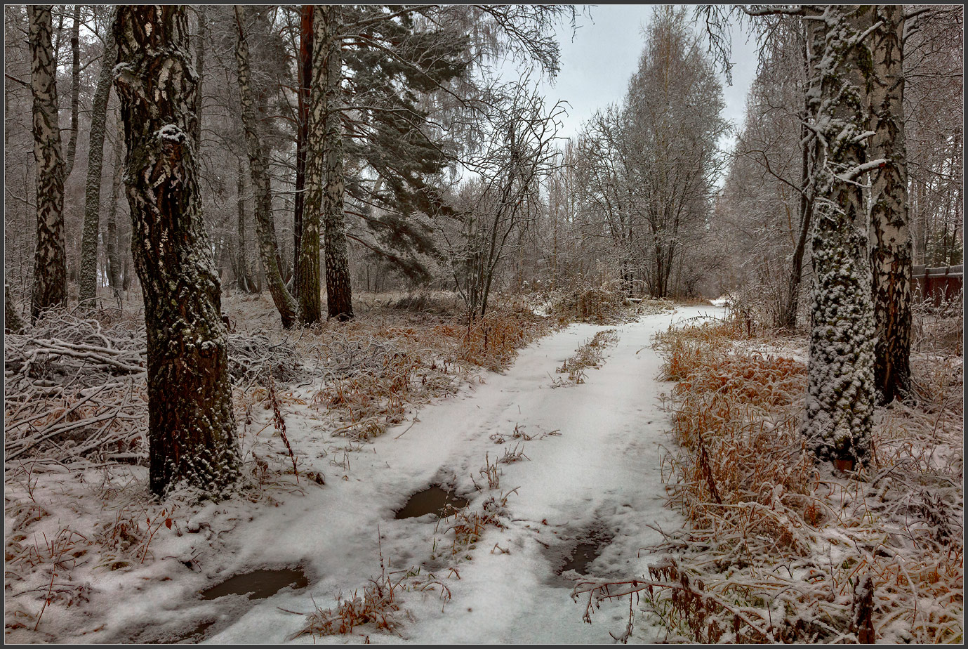 По влажной дорожке...