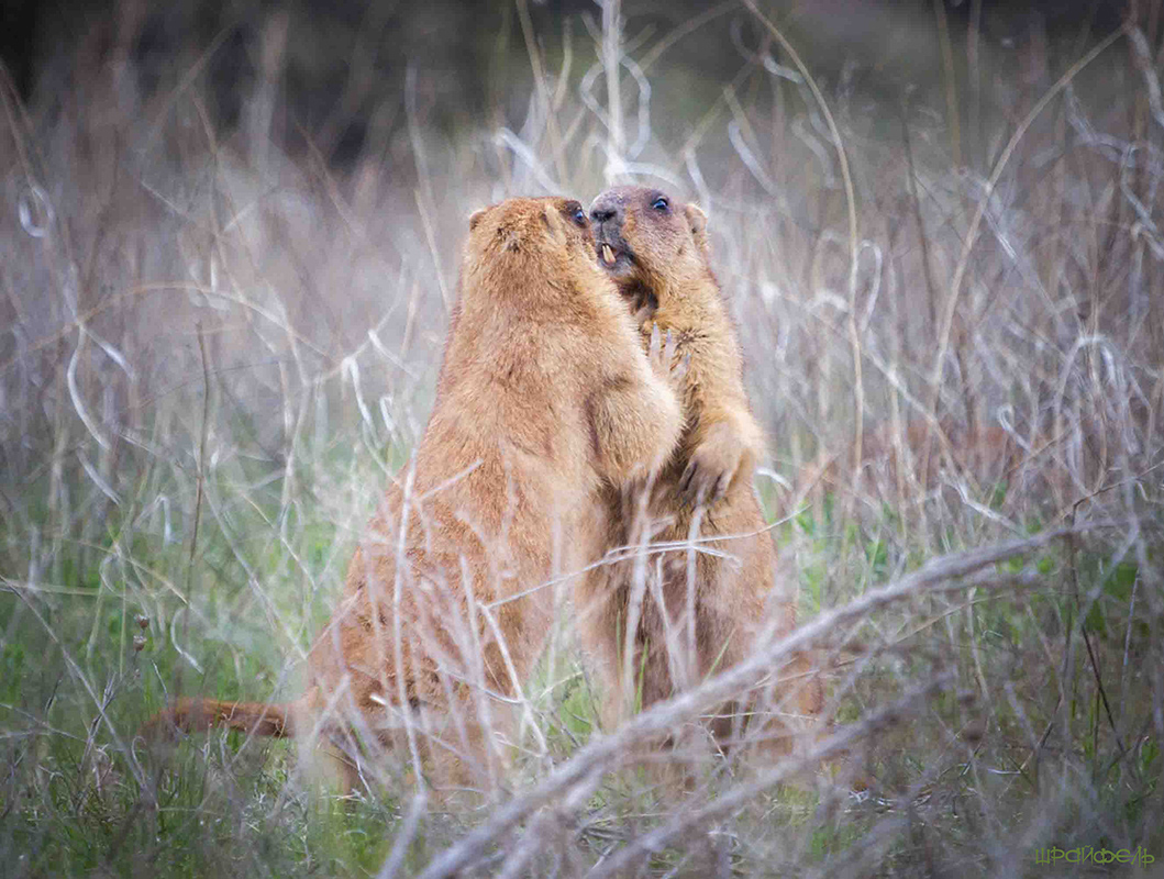 Разговор по душам