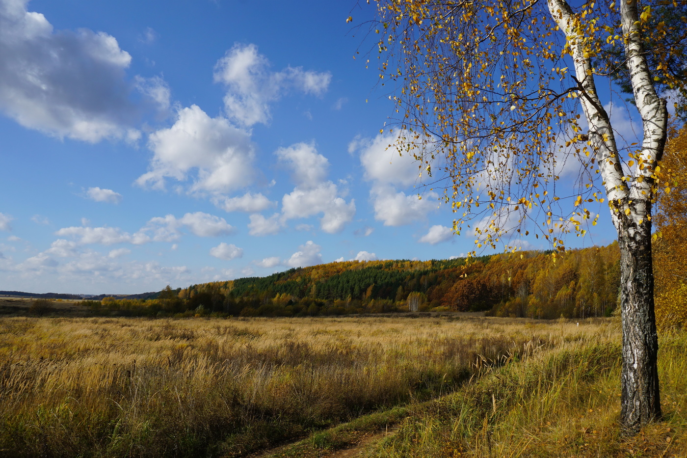 Солнечный день осени.