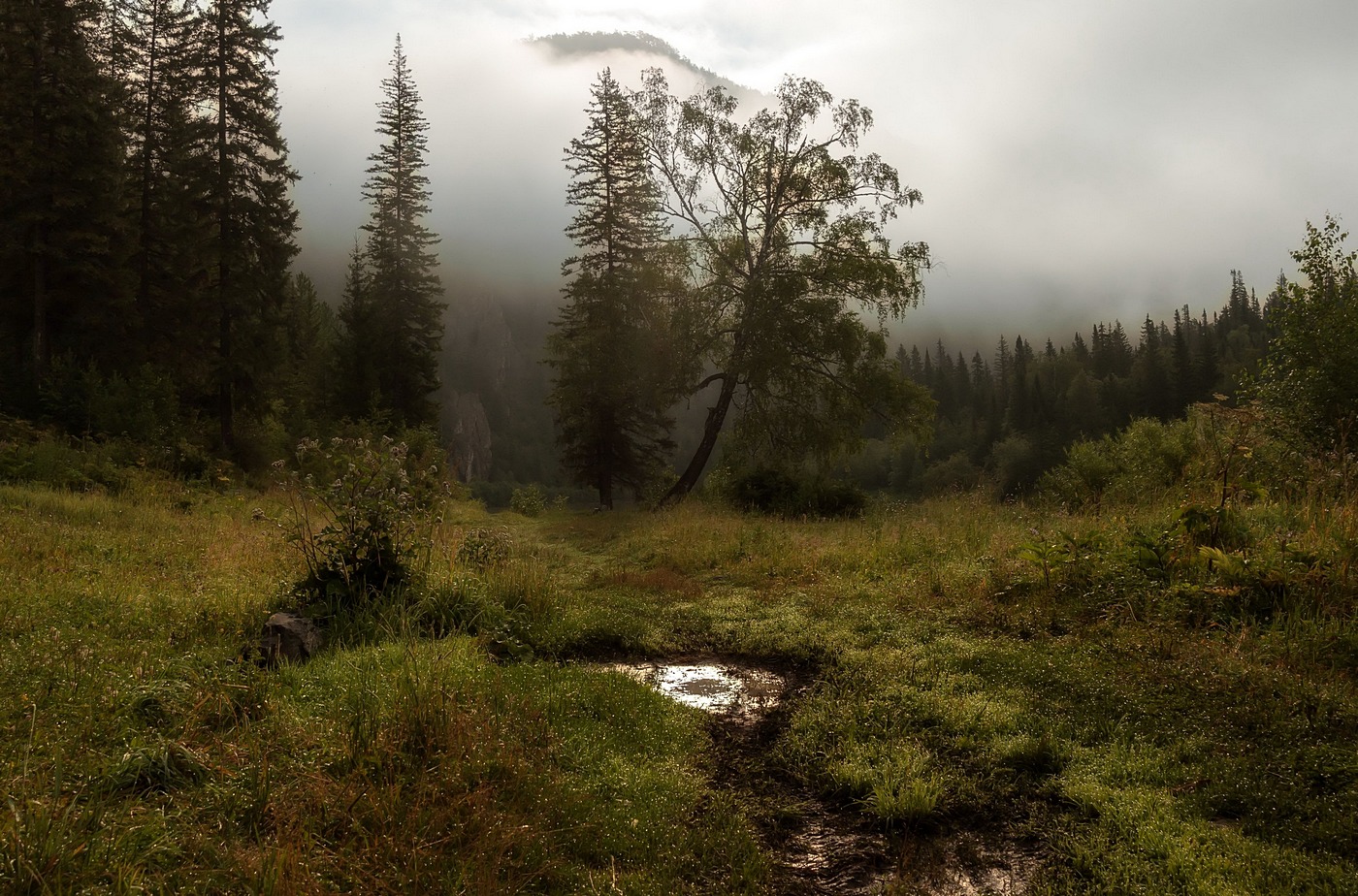 Таежный рассвет.