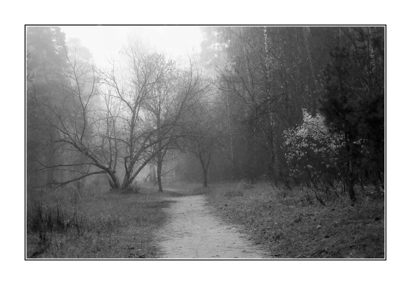 унылая пора