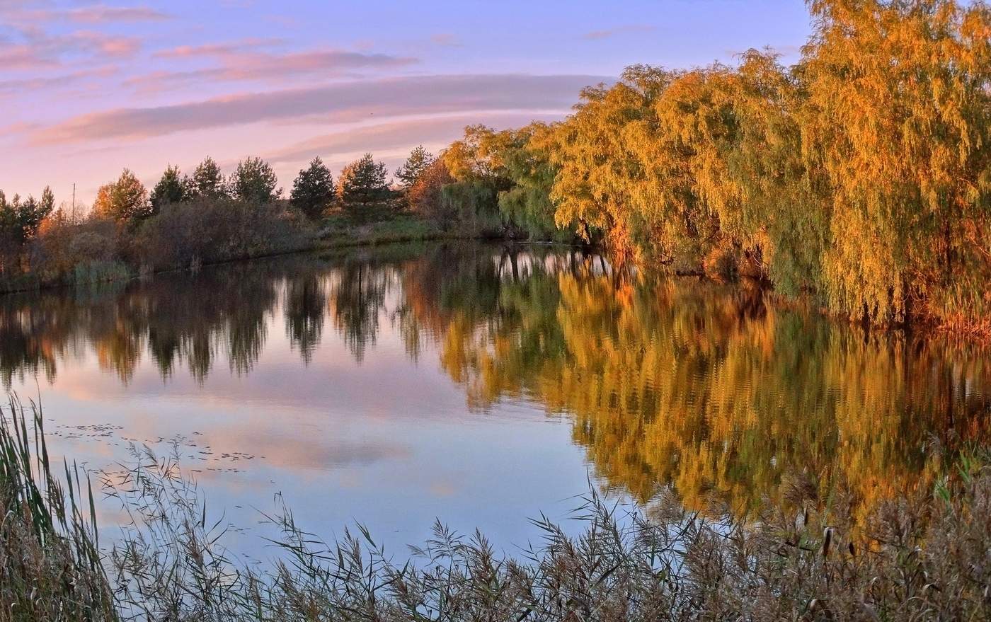 Воспоминания о красках осени