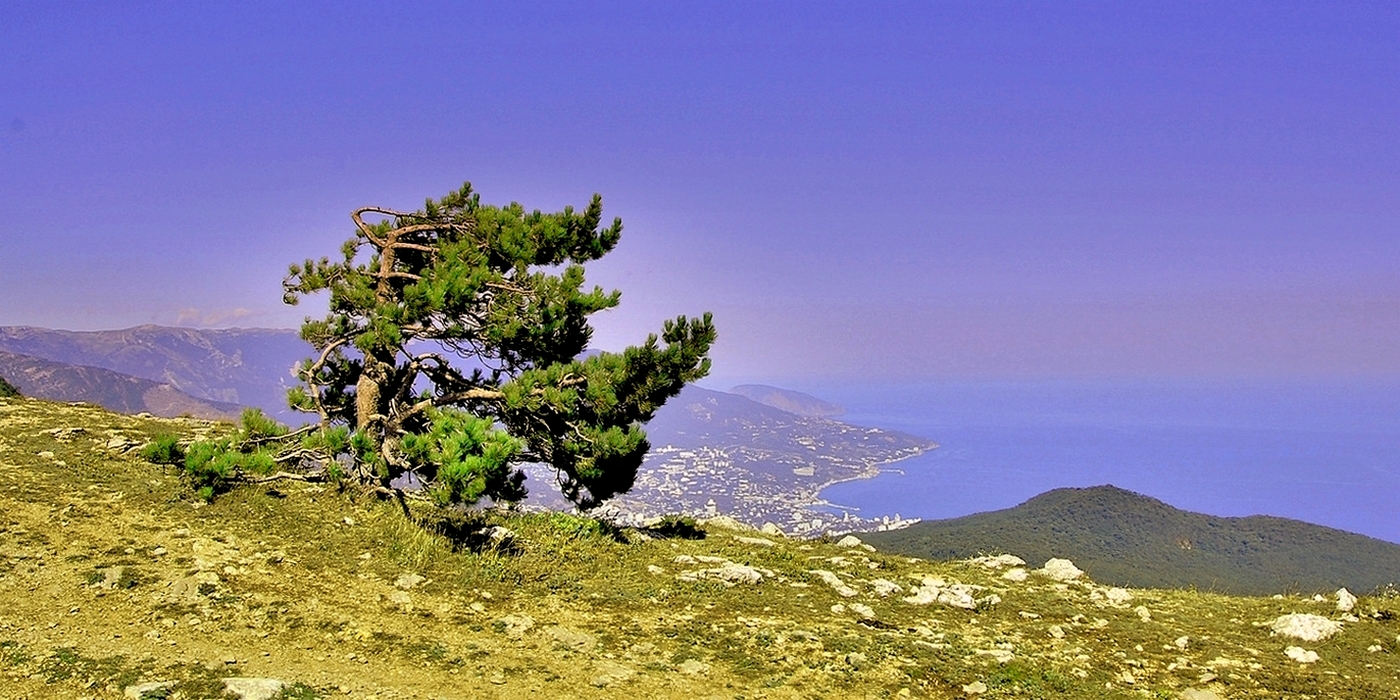 Ветер перемен