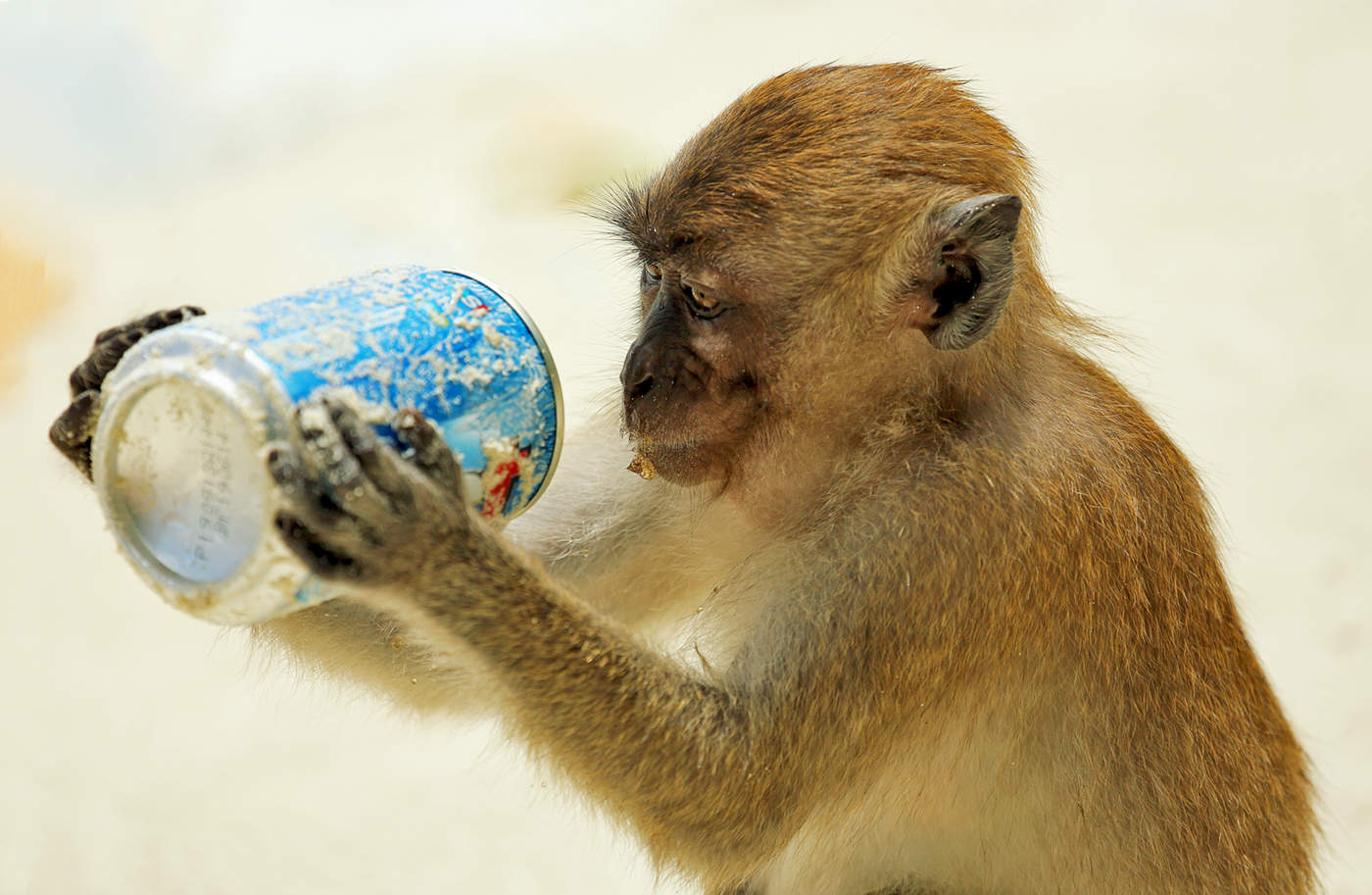 Ветер перемен