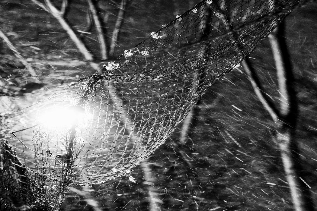 Ветер перемен