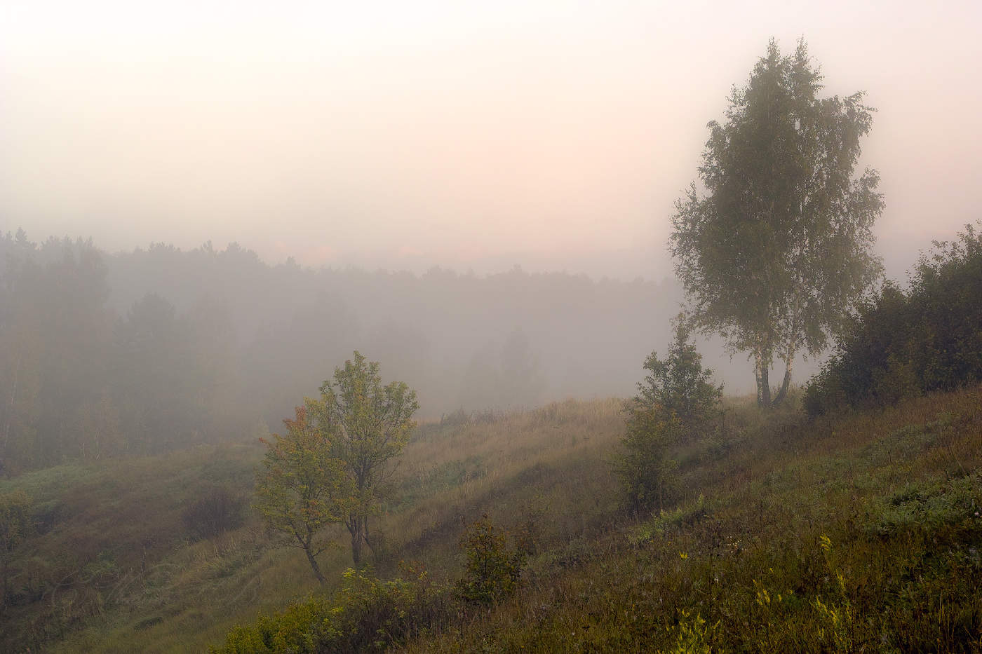 Густой туман осеннего утра