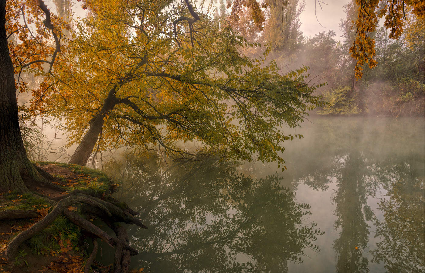 Воспоминание