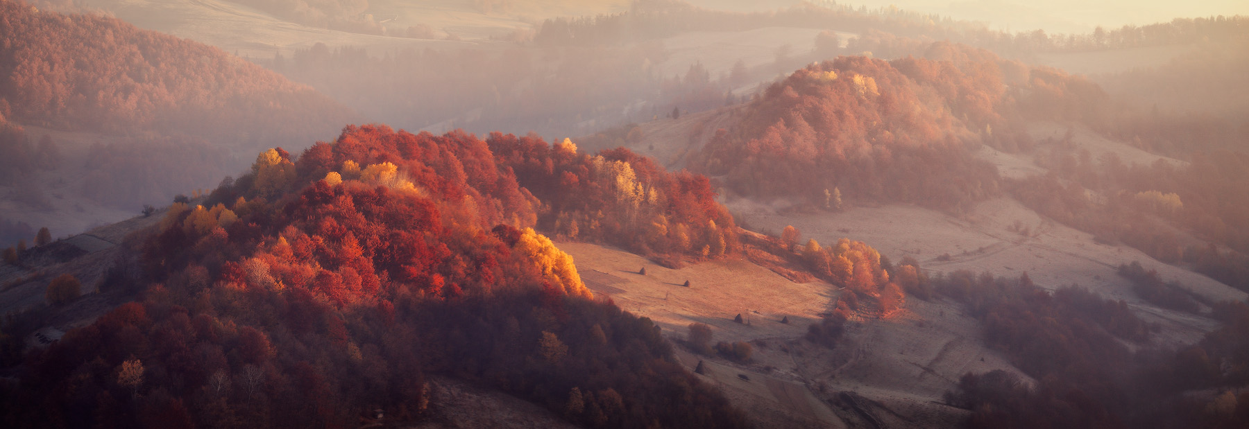 Воспоминания о ноябре