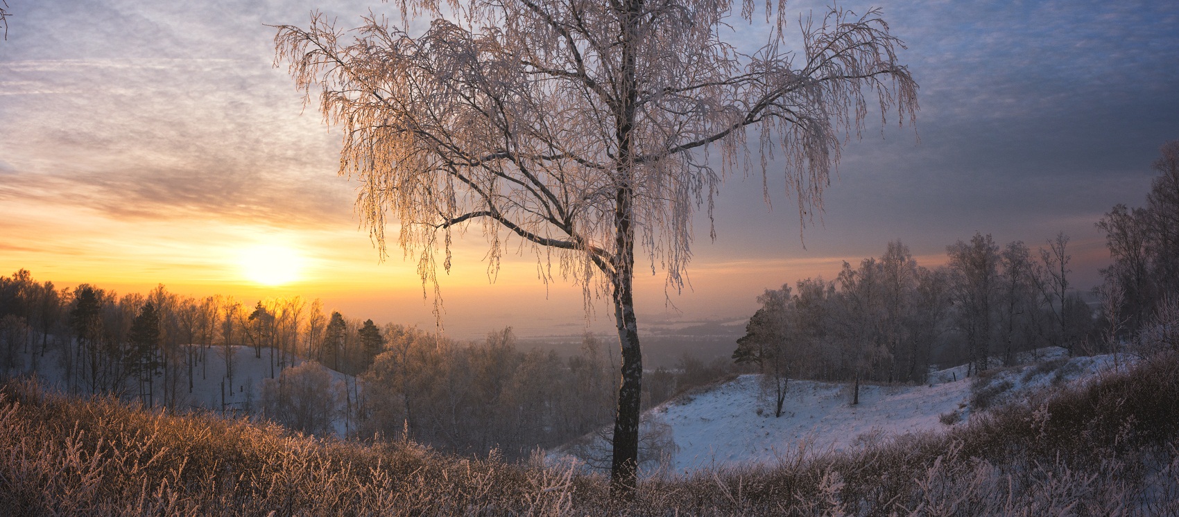 Вечерний свет.