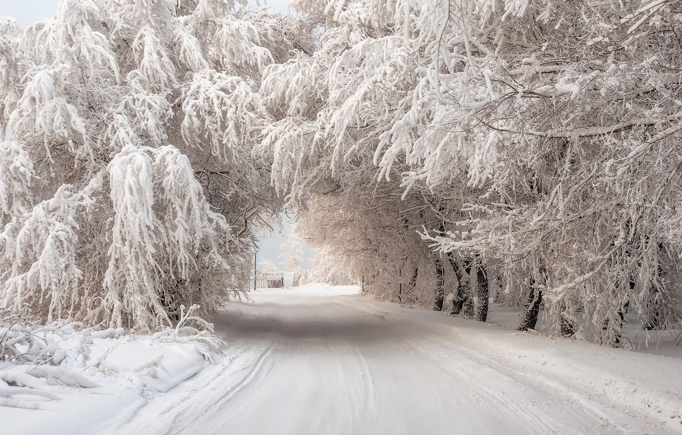 Снежная арка.