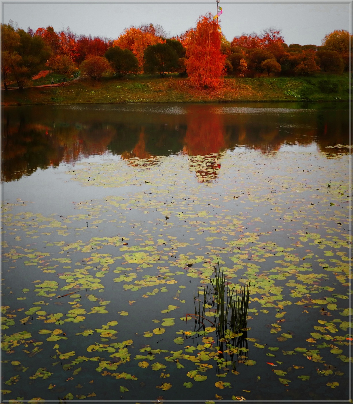 В дали горит огонь рябины красной