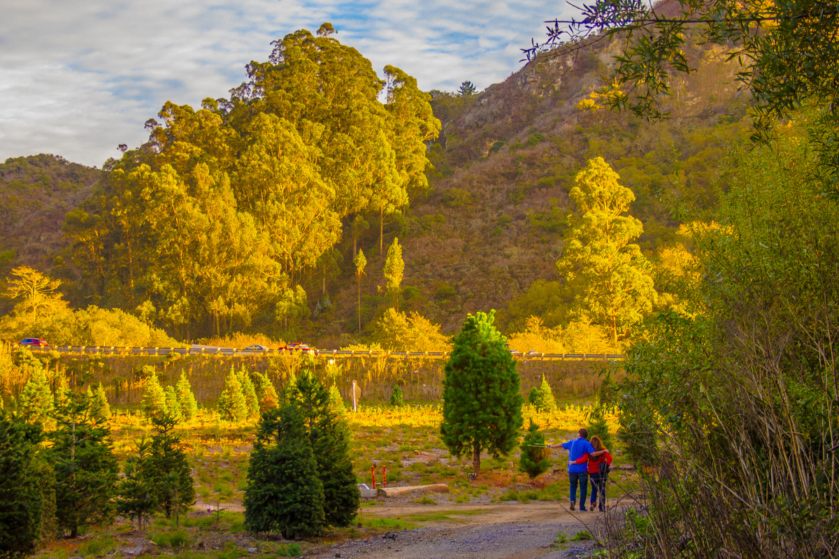 Осенняя песня