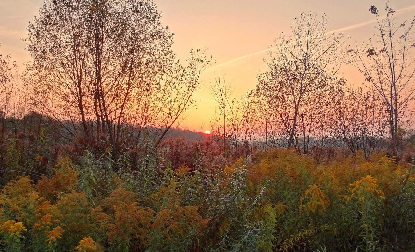 Осенний закат