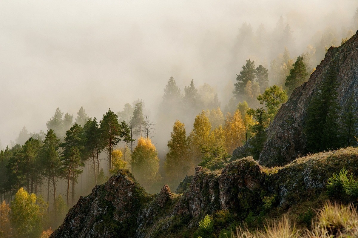 В лесу был дан осенний бал!