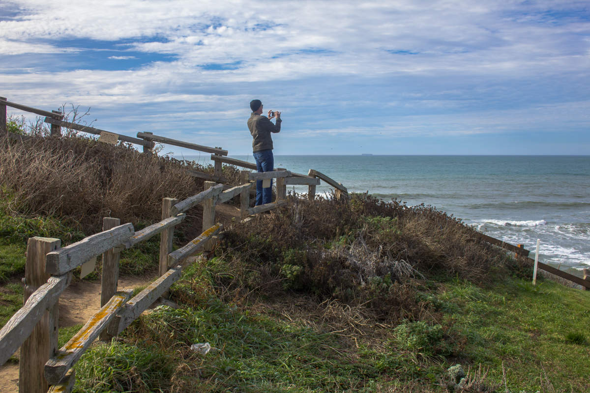 Успеть запечатлеть...