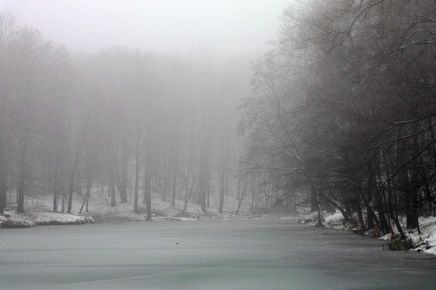 Монохром декабря