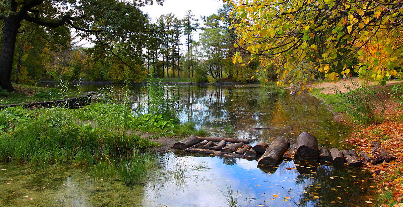 Мосток из Лета в Осень.
